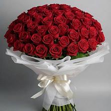Букет 101 Красная роза Блэк Мэджик в Пустошке