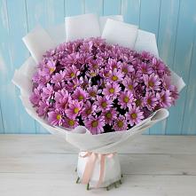 Букет цветов из:  Хризантемы в Пустошке