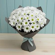 Букет цветов из:  Хризантемы в Пустошке