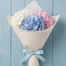 Букет цветов из:  Гортензия в Пустошке