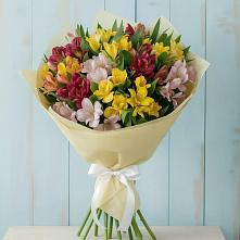 Букет цветов из:  Альстромерии в Пустошке