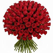 Букет Красные розы Чери Лав в Пустошке